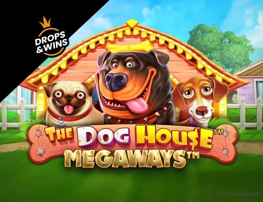 Gambling company site - jetcasinoplay-site (Gallery 1-15)